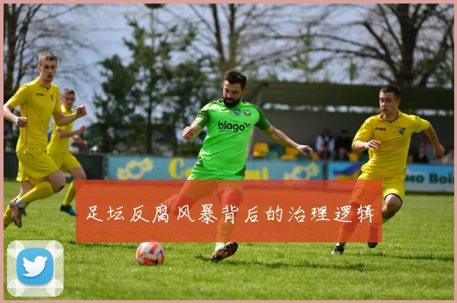 足坛反腐风暴背后的治理逻辑