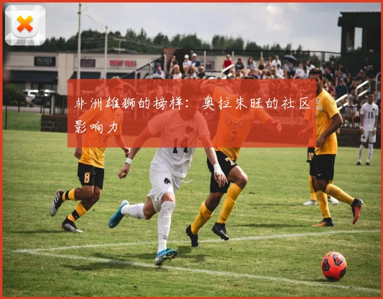 非洲雄狮的榜样：奥拉朱旺的社区影响力