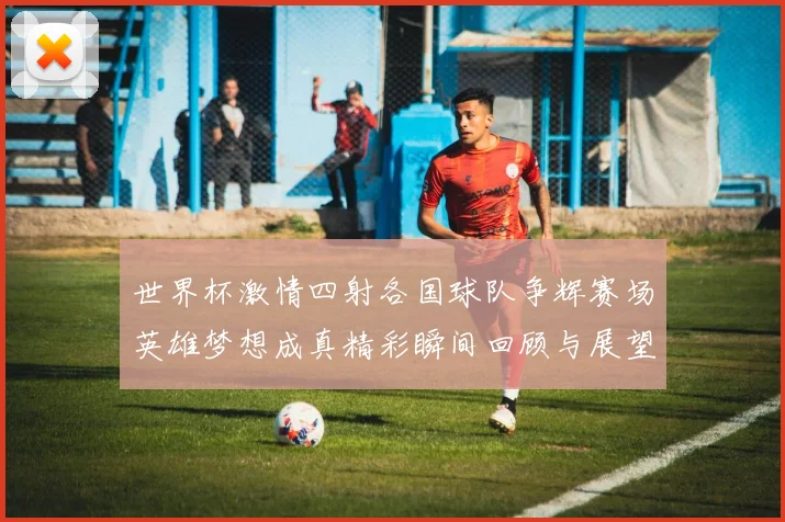 世界杯激情四射各国球队争辉赛场英雄梦想成真精彩瞬间回顾与展望