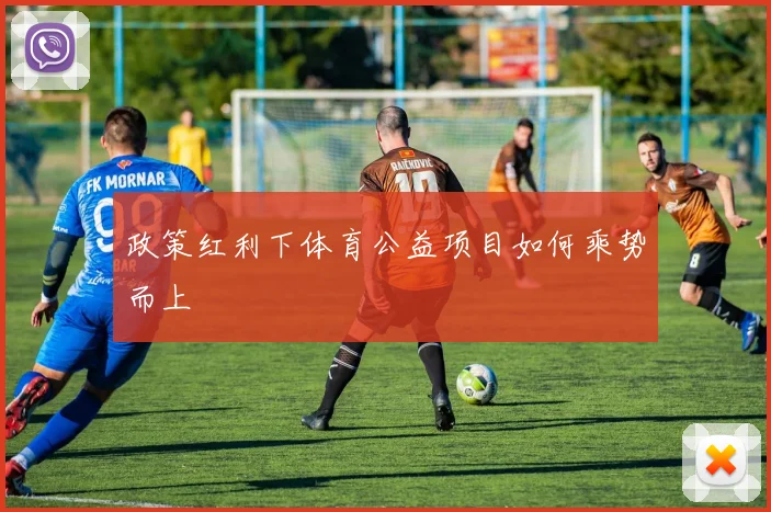 政策红利下体育公益项目如何乘势而上
