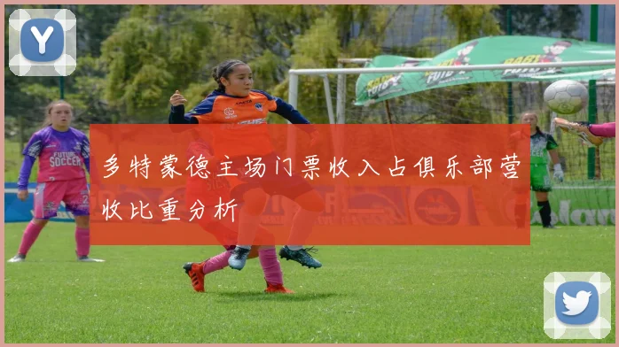 多特蒙德主场门票收入占俱乐部营收比重分析