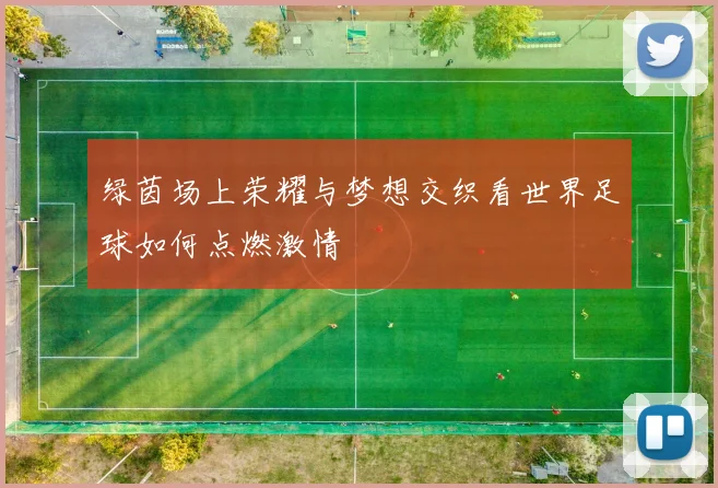 绿茵场上荣耀与梦想交织看世界足球如何点燃激情
