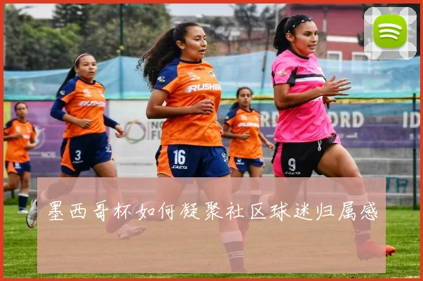 墨西哥杯如何凝聚社区球迷归属感