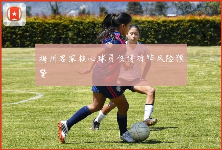 梅州客家核心球员伤停对阵风险预警