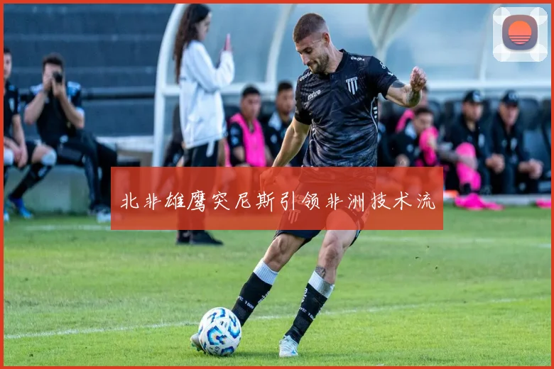 北非雄鹰突尼斯引领非洲技术流