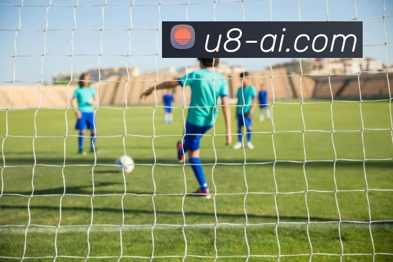 u8国际服务体系